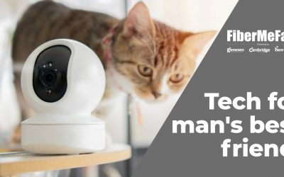 Smart Home Tech for Your Pets